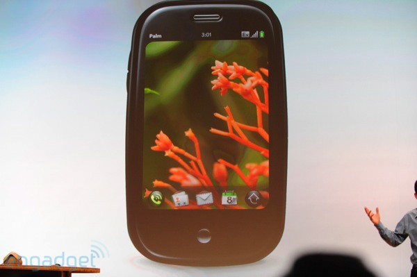 palm-pr-2009-01-08_29 palm-pr-2009-01-08_29