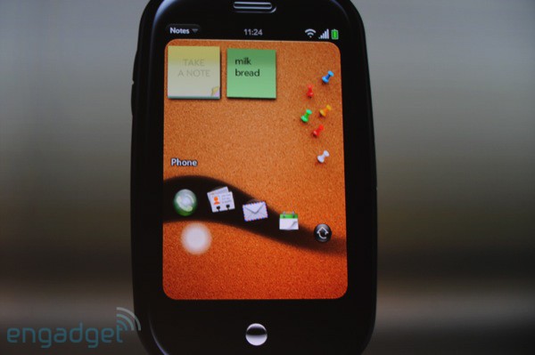 palm-pr-2009-01-08_56 palm-pr-2009-01-08_56