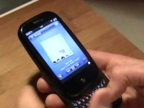 palm-skills-pre-290-x-218