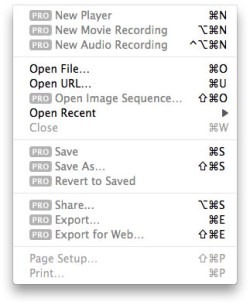 quick-time-pro-snow-250-x-305