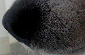 youtube-hd-1080p jpg