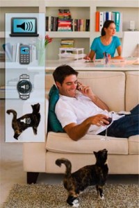 bluetooth-4-cat
