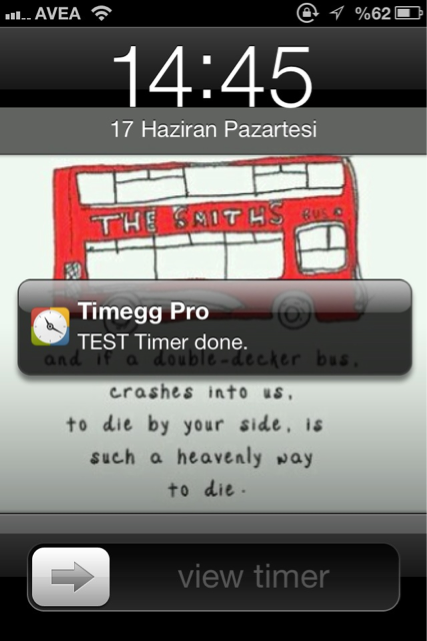 timegg-4