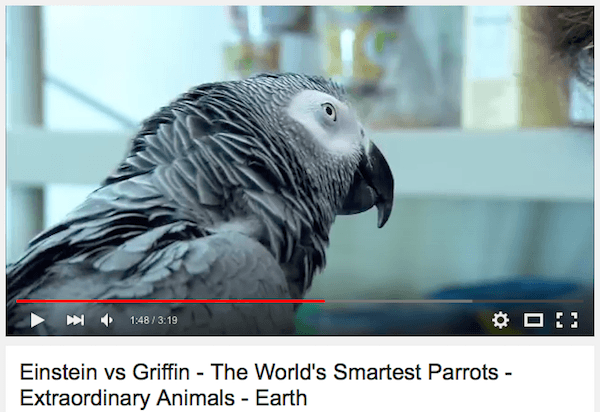 youtube-masaustu-yeni-tasarim-140415