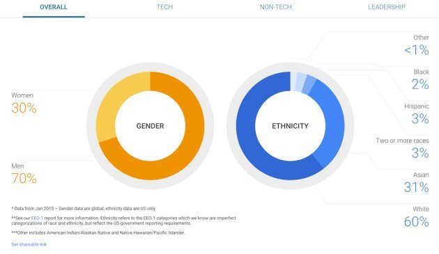 google-cesitlilik-raporu-020615