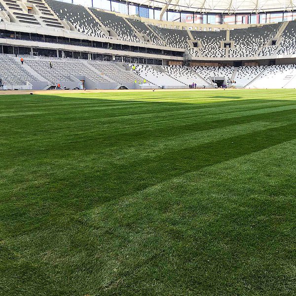 vodafone-arena-220316-3