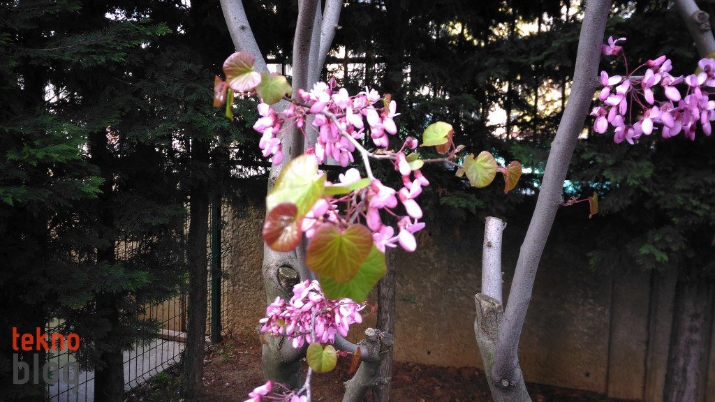 asus-zenfone-max-kamera-fotograflari-0005