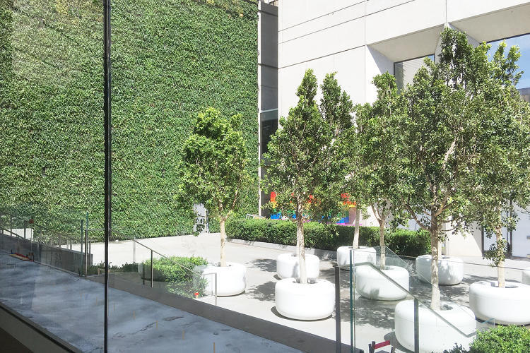 apple-san-francisco-200516-4