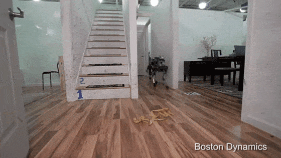 boston dynamics