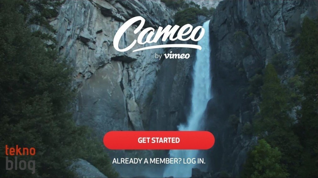 cameo-1