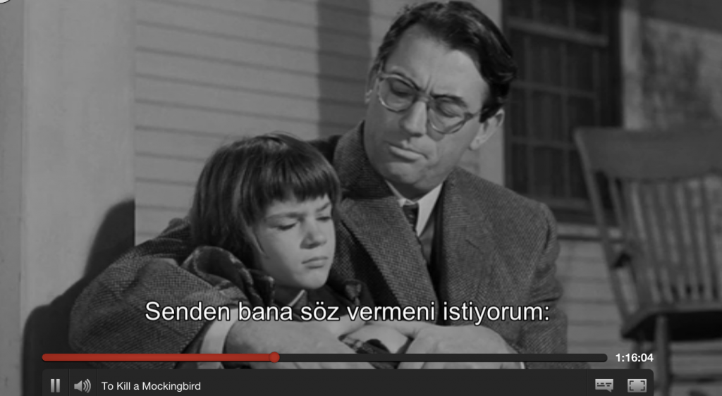 netflix-bulbulu-oldurme-080116
