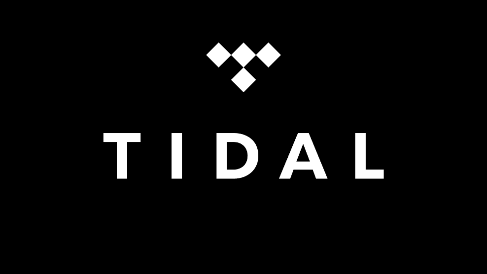 tidal logo hat tidal logo hat