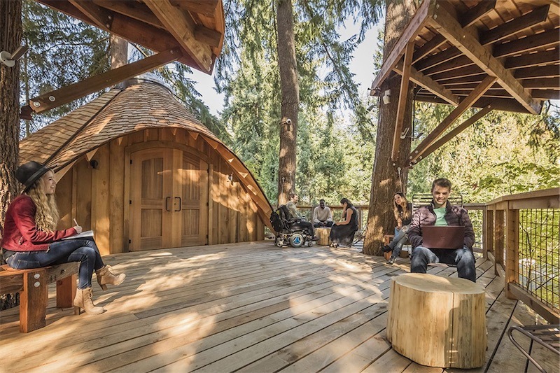 Microsoft çalışanları için ağaç evler inşa etti