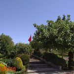 honor 8c inceleme