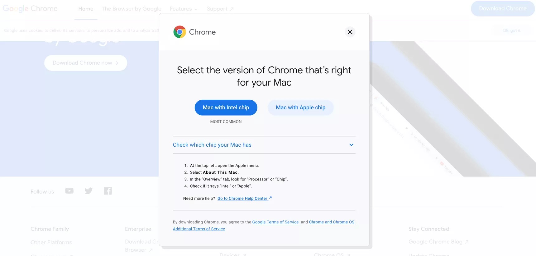 google chrome