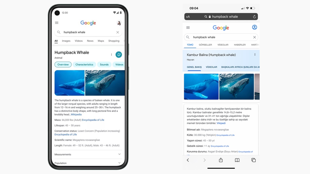 Google mobil arama sonuç sayfasında yeni bir tasarım değişikliği