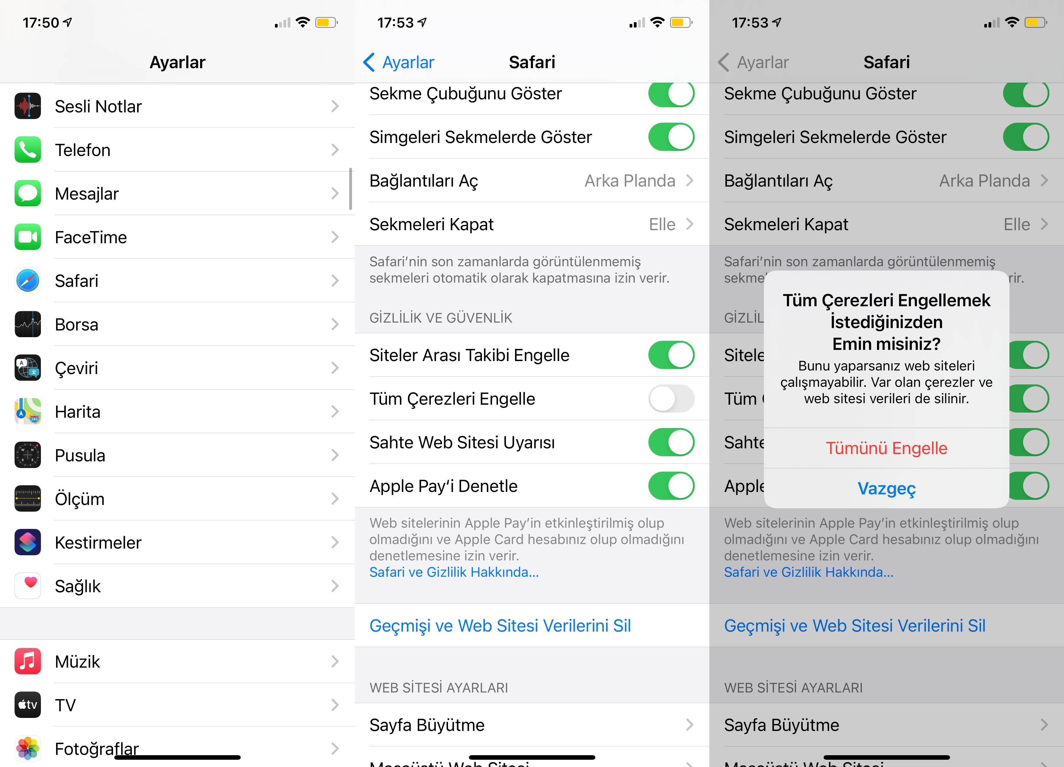 safari koruma ayarları