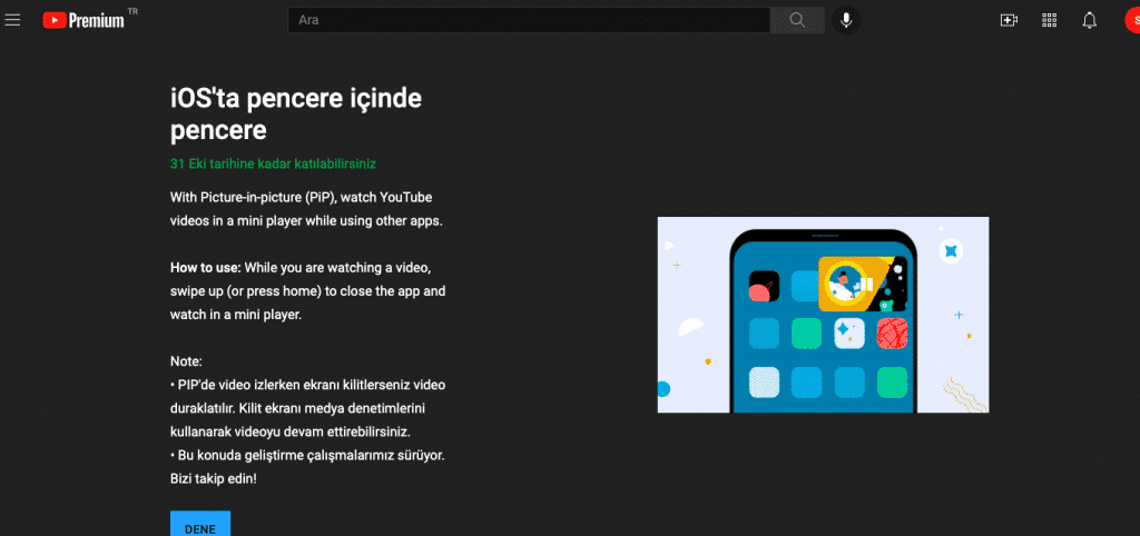 youtube premium ios pip