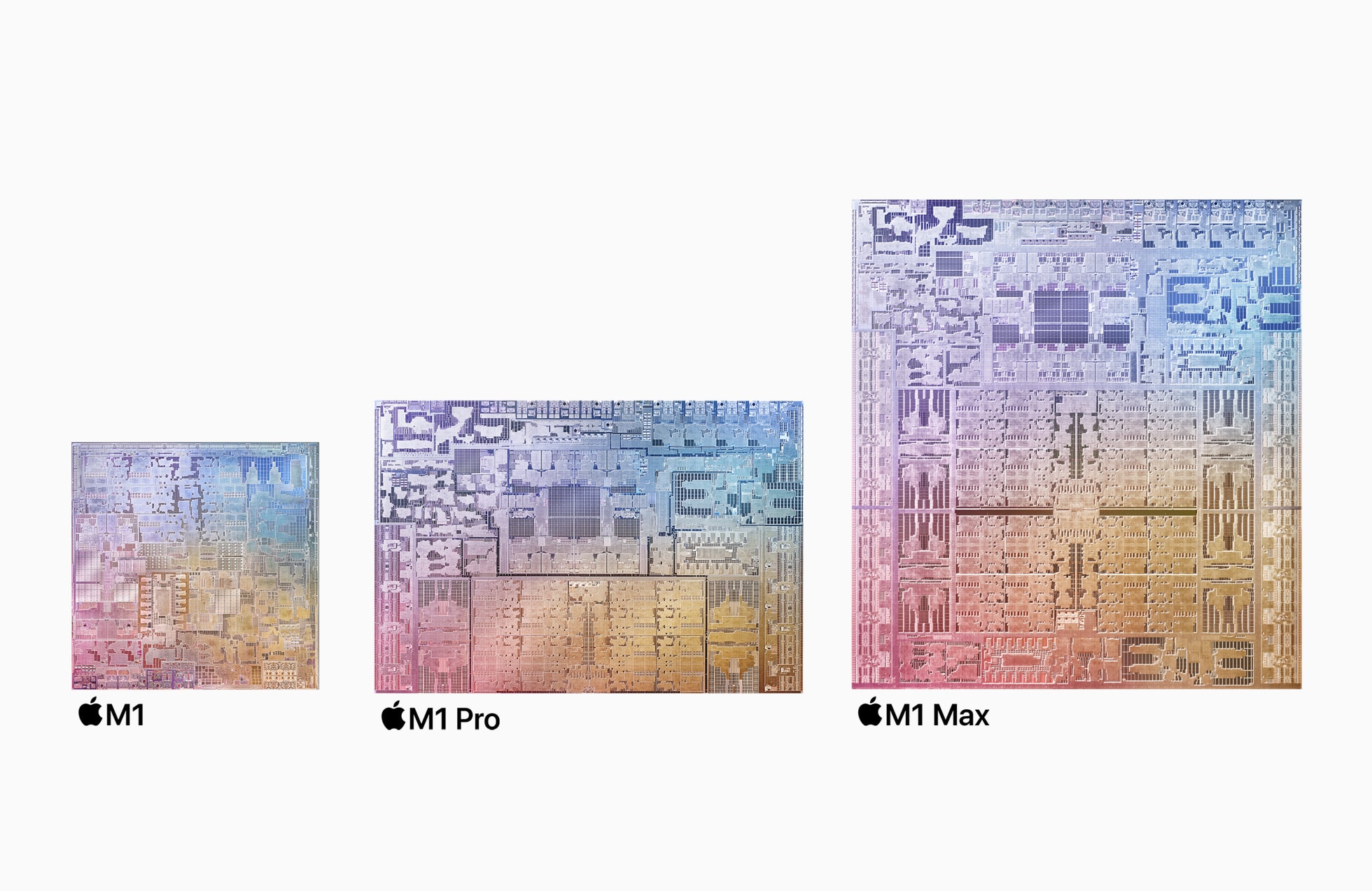 m1 m1 pro m1 max