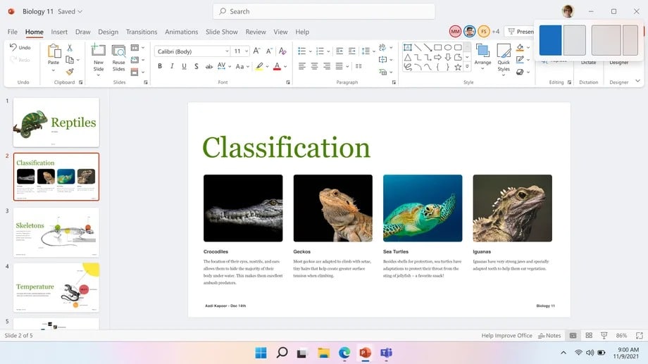 windows 11 se