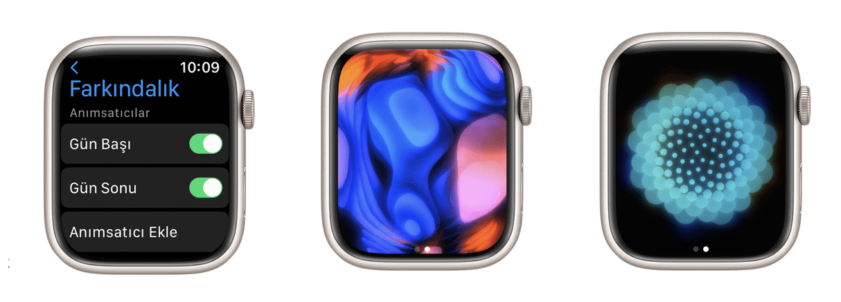 apple watch farkındalık