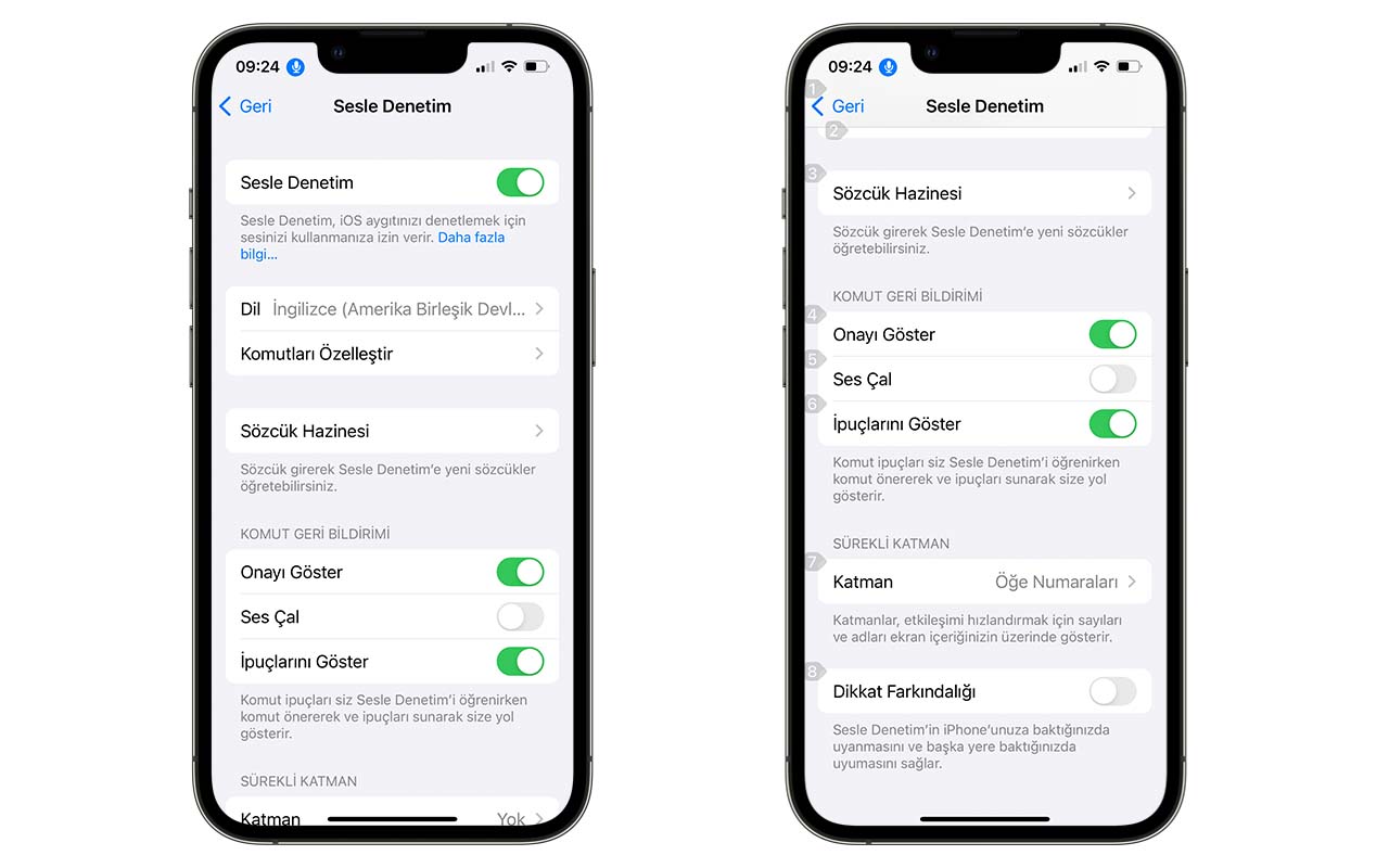 ios erişilebilirlik sesle denetim