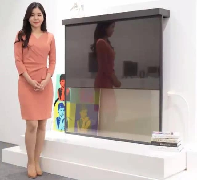 lg display oled shelf