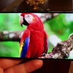 oppo reno 6 inceleme