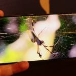 galaxy s22 ultra