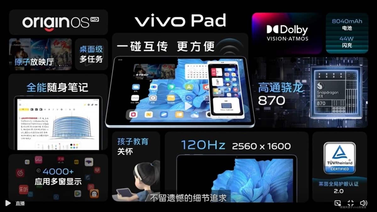 vivo pad