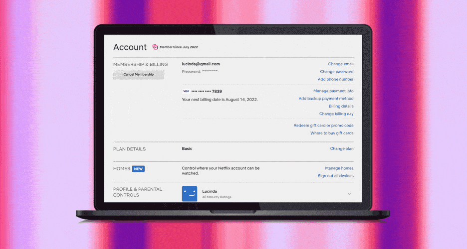 netflix şifre paylaşımı ev ekleme