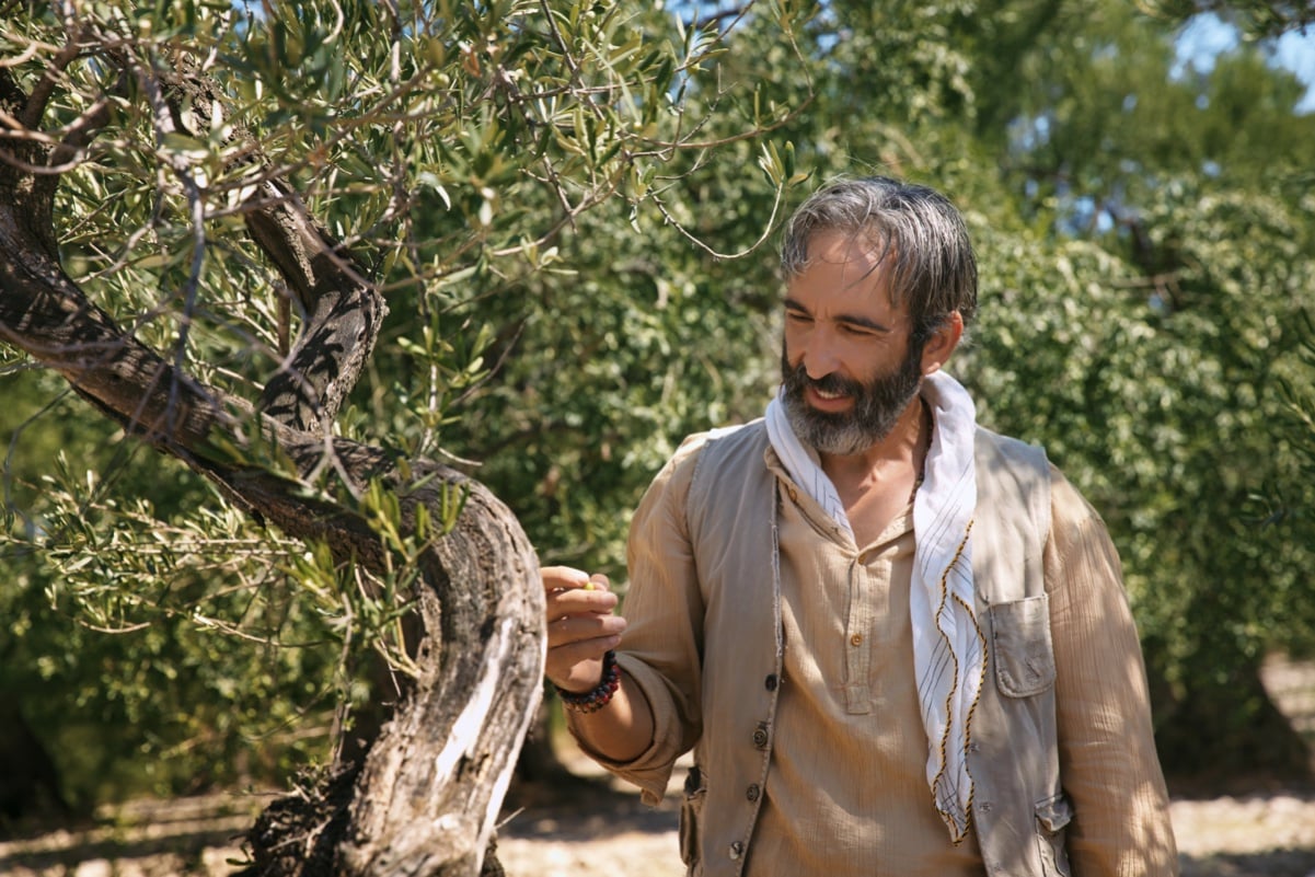 Netflix Zeytin Ağacı filminin fragmanını ve yeni görsellerini paylaştı