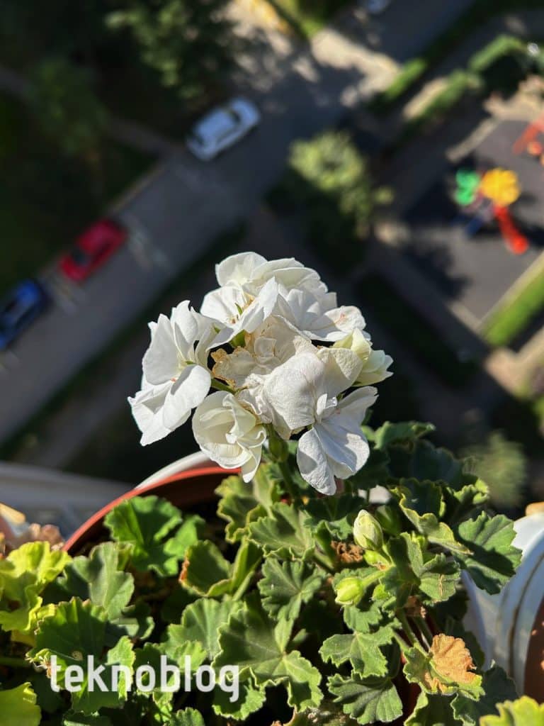 iPhone 14 Plus İncelemesi