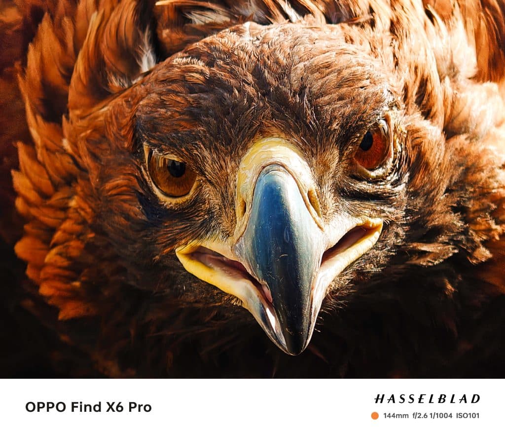 Oppo Find X6 Pro ile çekilen fotoğraflar paylaşıldı