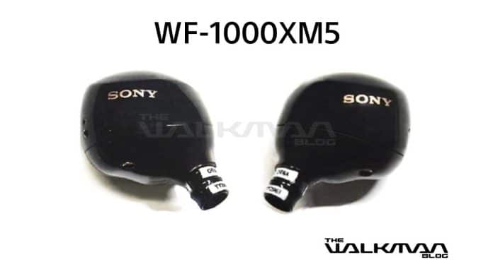 sony wf-1000xm5