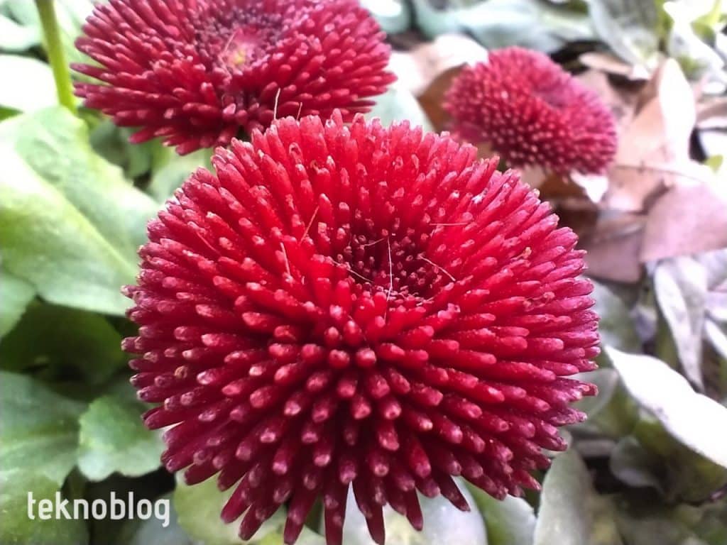 Vivo Y35 İncelemesi