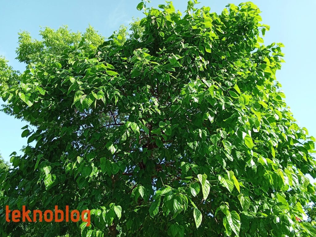General Mobile GM 23 SE İncelemesi