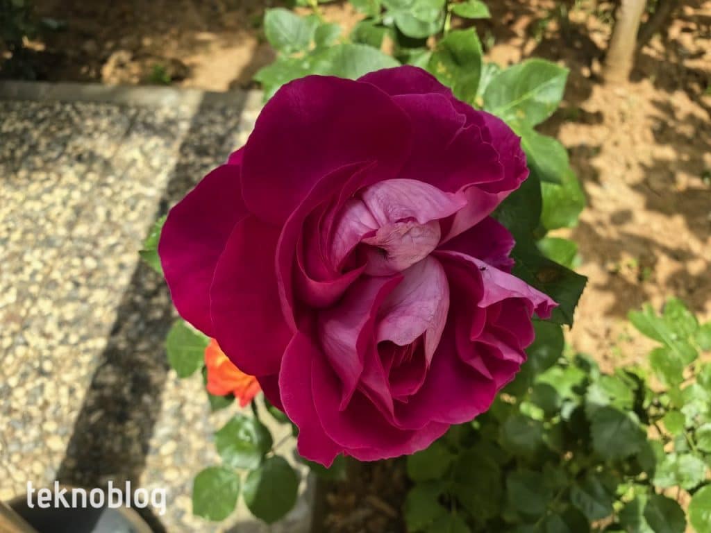 Huawei P60 Pro İncelemesi