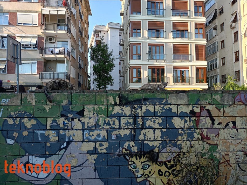 Realme C55 İncelemesi