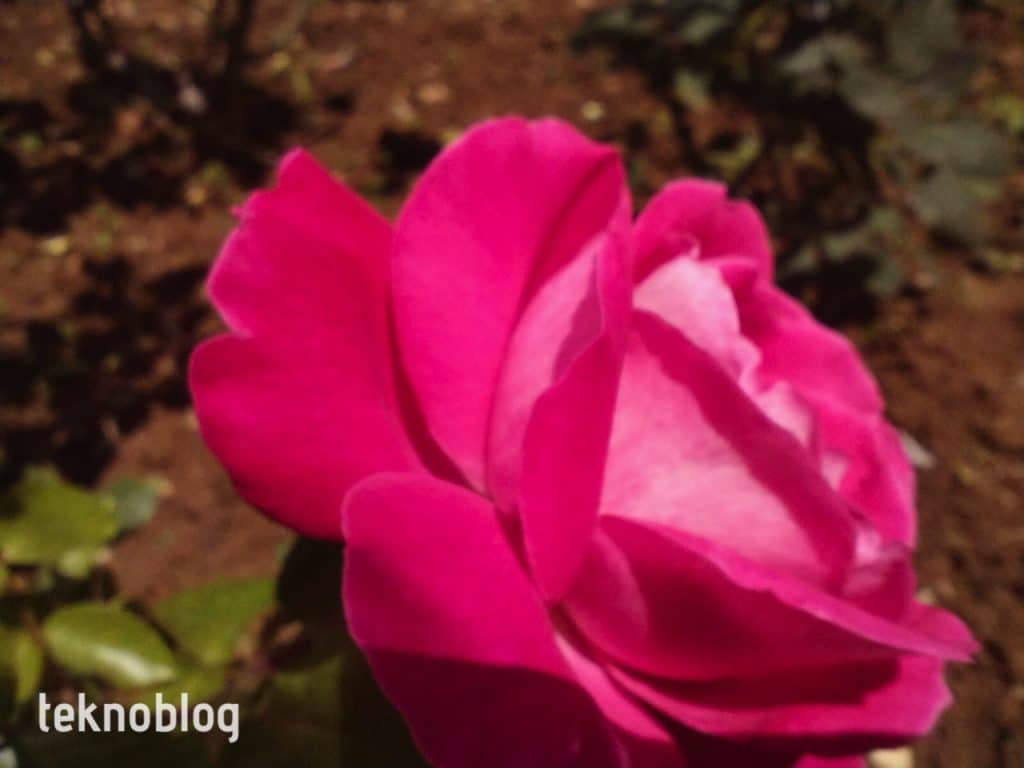 Vivo Y36 İncelemesi