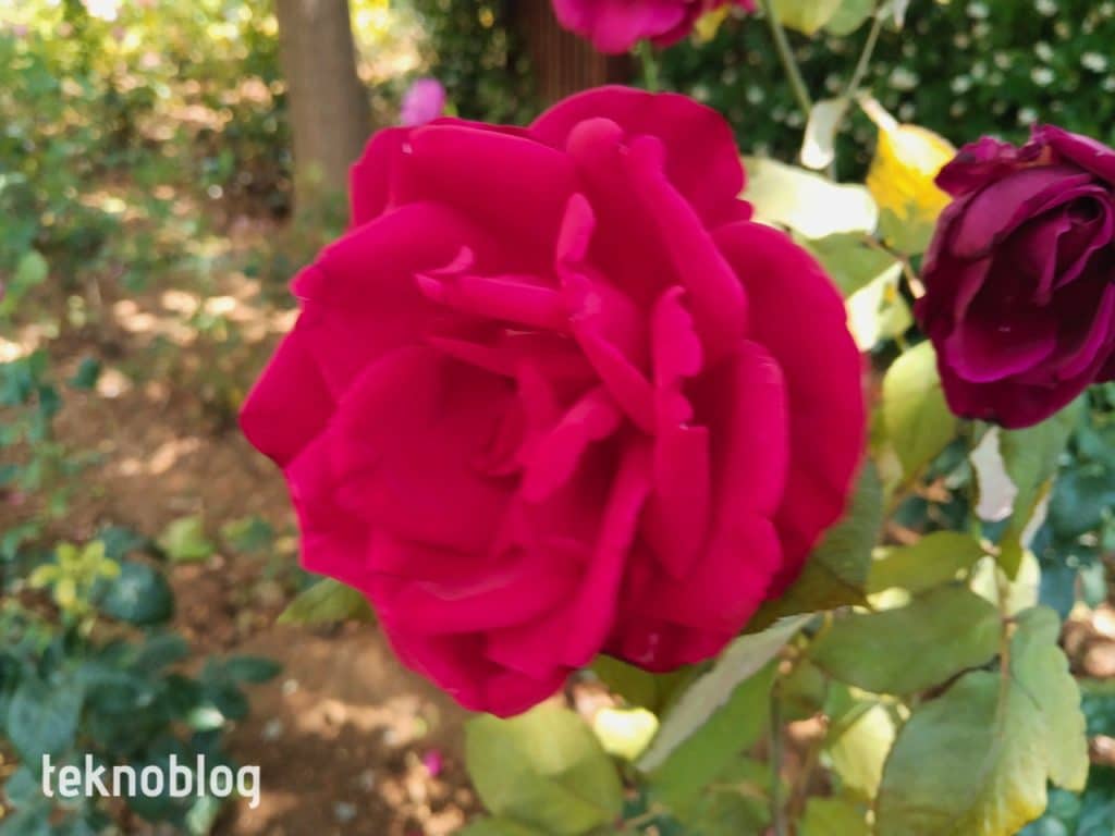 Vivo Y36 İncelemesi