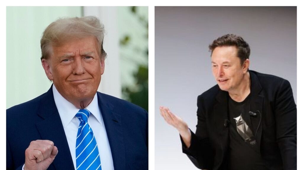 elon musk donald trump
