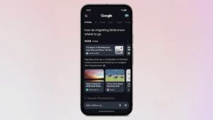 google ai arama