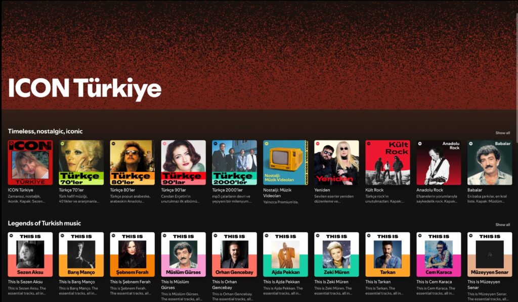 spotify icon türkiye