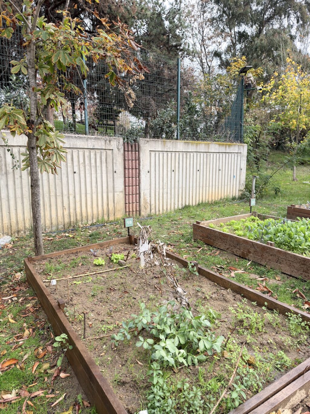 Her günün en iyi kamerası cebinizde: iPhone 17 Pro İncelemesi