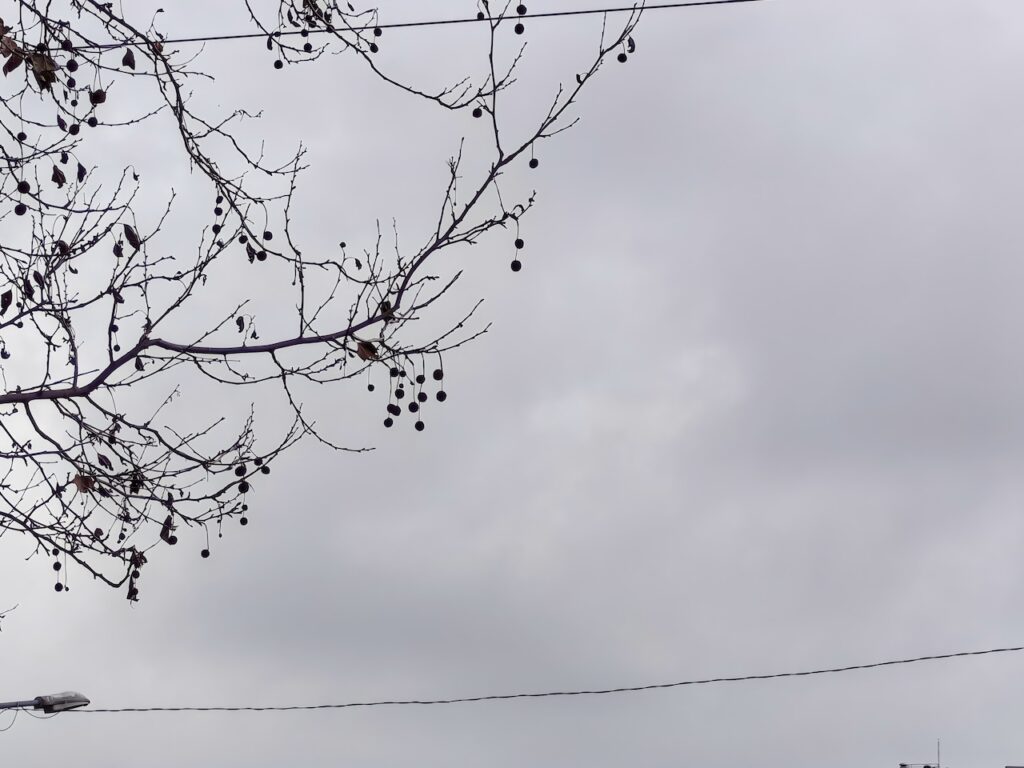 Katlanabilir, ama ödün vermeyen bir amiral gemisi mi? Huawei Mate X7 İncelemesi