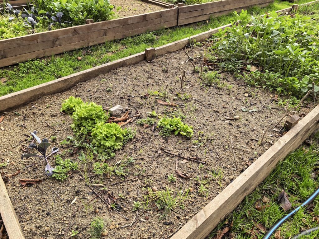 Katlanabilir, ama ödün vermeyen bir amiral gemisi mi? Huawei Mate X7 İncelemesi