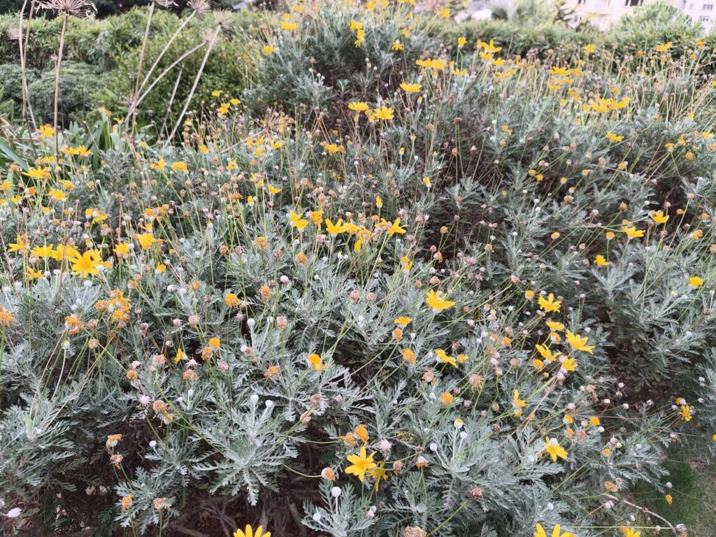 200 megapiksel kamera kompakt gövdeyle buluştu: Oppo Reno 15 Pro İncelemesi