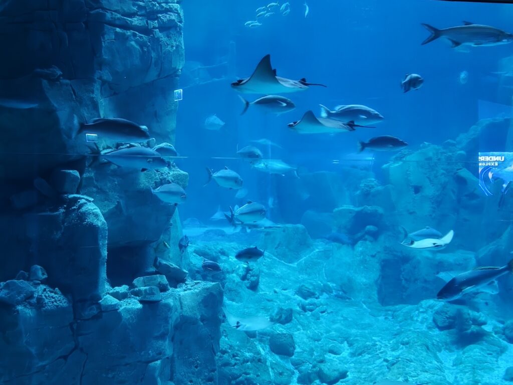 200 megapiksel kamera kompakt gövdeyle buluştu: Oppo Reno 15 Pro İncelemesi