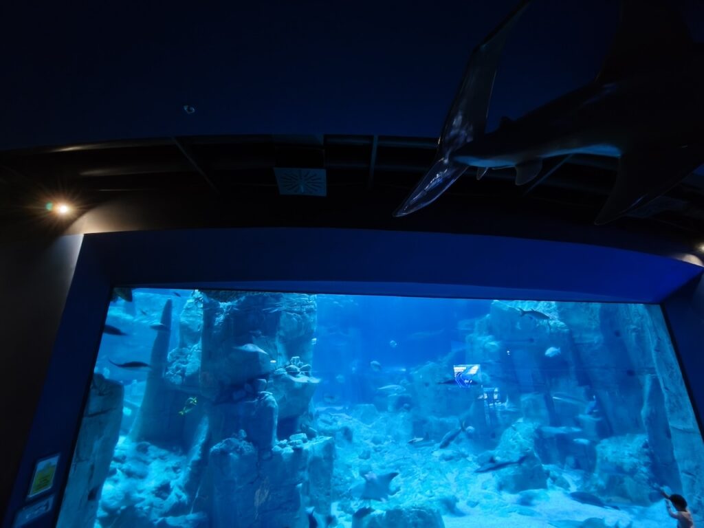 200 megapiksel kamera kompakt gövdeyle buluştu: Oppo Reno 15 Pro İncelemesi